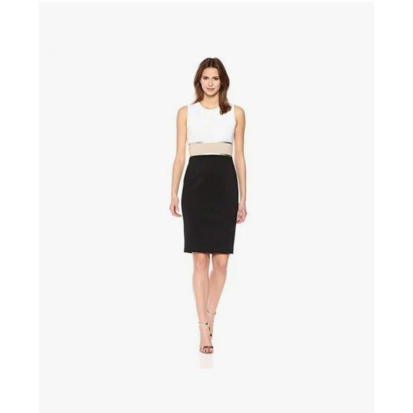 Calvin Klein Women's Sleeveless Color Block Sheath with Metallic Trim Dress
Sz 6 - Picture 1 of 9